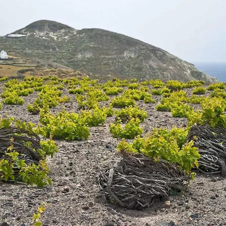 Votrishouse Fira (Santorini)