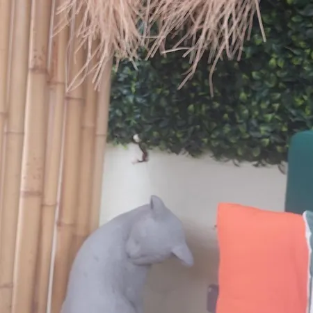 Votrishouse 別荘 サントリーニ