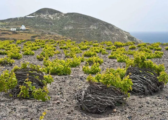 Votrishouse Fira (Santorini)